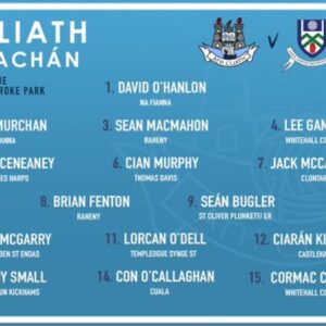 Dublin team to play Monaghan 2024