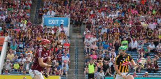 New Format Proposed for Leinster Senior Hurling Championship Ahead of 2027 Congress Vote
