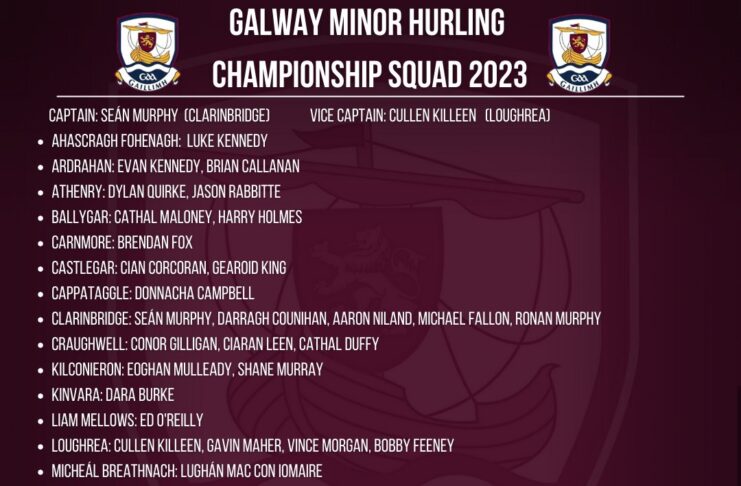 Galway minor hurling panel for 2023