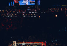 Fight Night Strategies: What to Watch for Before Placing a Bet