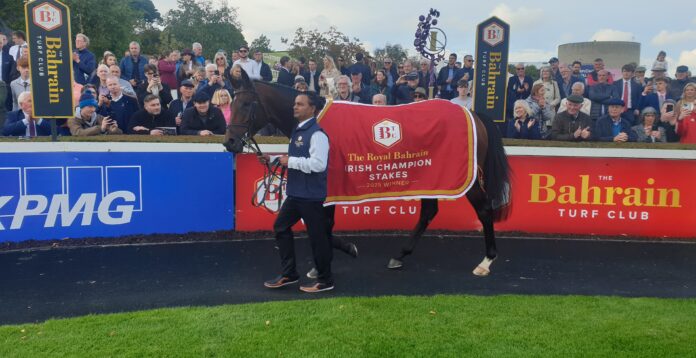 Delacroix, winner of the 2025 Royal Bahrain Irish Champion Stakes