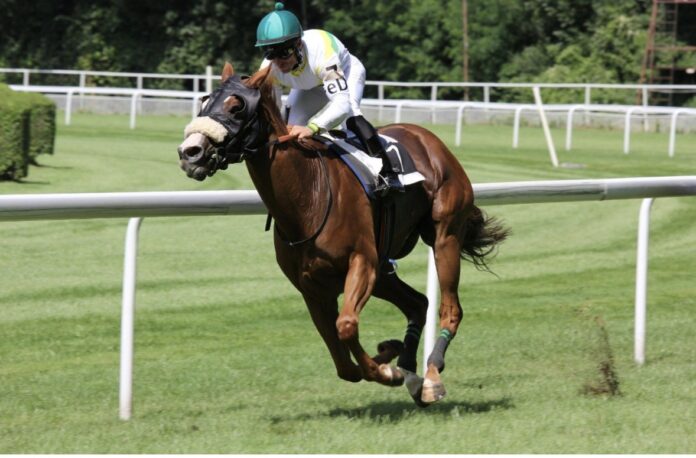 Preakness Stakes Preview: Contenders, Form, and Early Betting Odds Preakness Stakes Preview: Contenders, Form, and Early Betting Odds