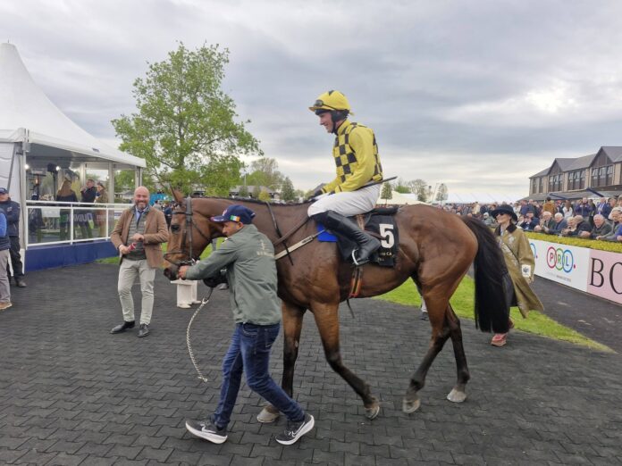 Salvator Mundi and Harry Cobden