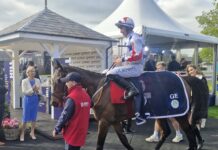 Western Fold gives Elliott & Kennedy Grade 1 win in Champion Novice Chase
