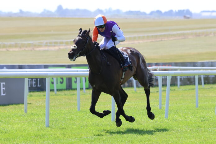 Johanna Walsh & Dylan Browne McMonagle - David Betts