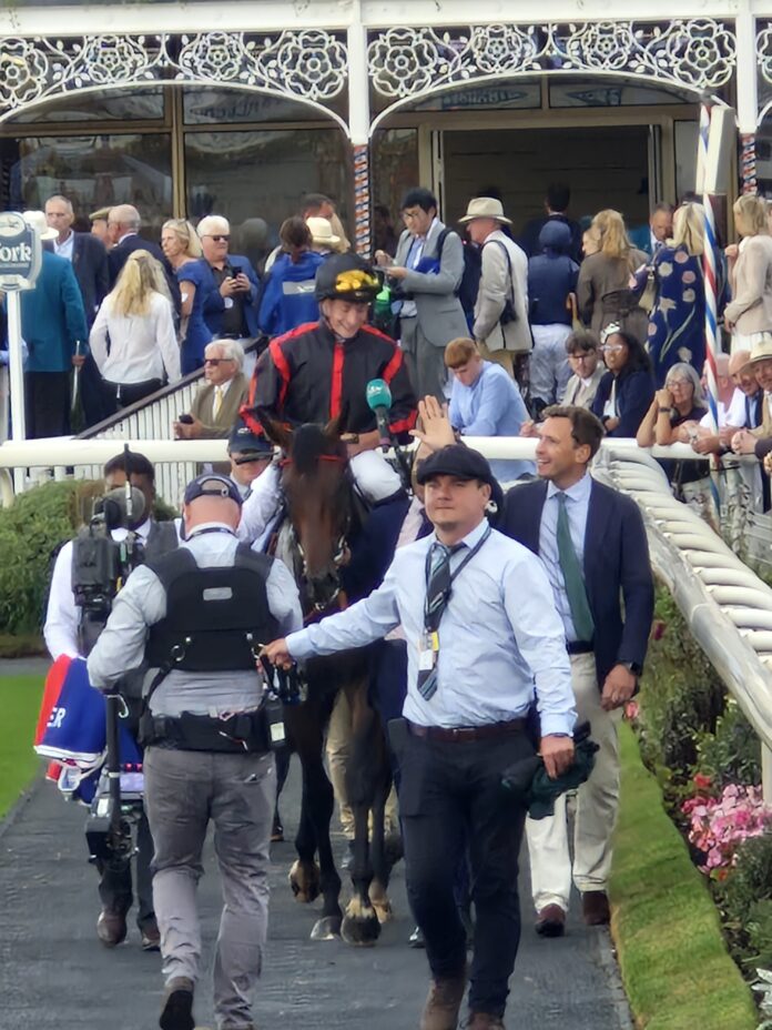 Maltese Cross and Tom Marquand