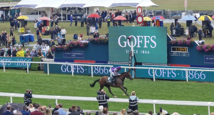 Sun Goddess and Ryan Moore