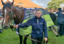 Darkness Falls Wins Second G1 with Dewhurst Stakes Victory