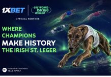 Irish St. Leger 2026: Limerick gears up for the biggest races of the autumn
