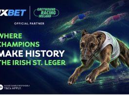 Irish St. Leger 2026: Limerick gears up for the biggest races of the autumn