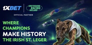 Irish St. Leger 2026: Limerick gears up for the biggest races of the autumn