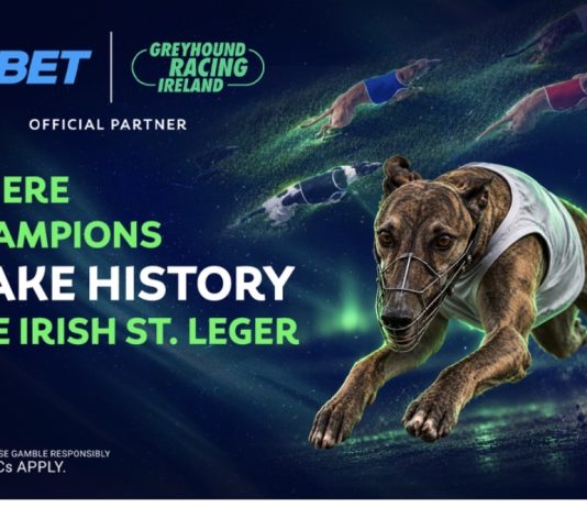 Irish St. Leger 2026: Limerick gears up for the biggest races of the autumn