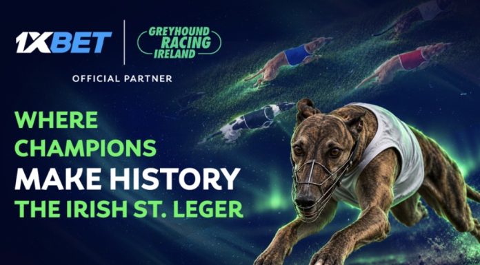 Irish St. Leger 2026: Limerick gears up for the biggest races of the autumn